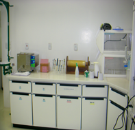 sala de quimica 7